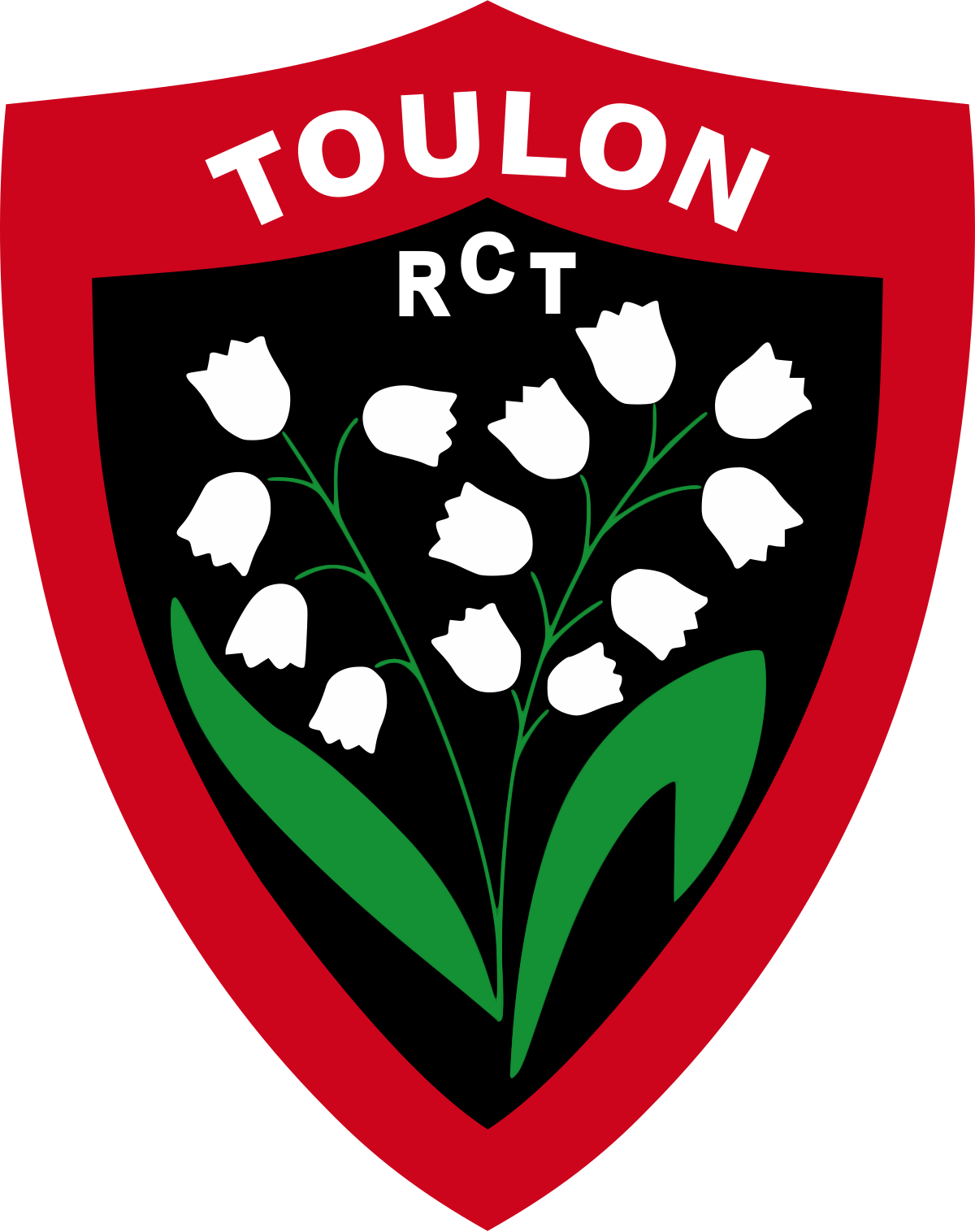 RC Toulon - Wikipedia