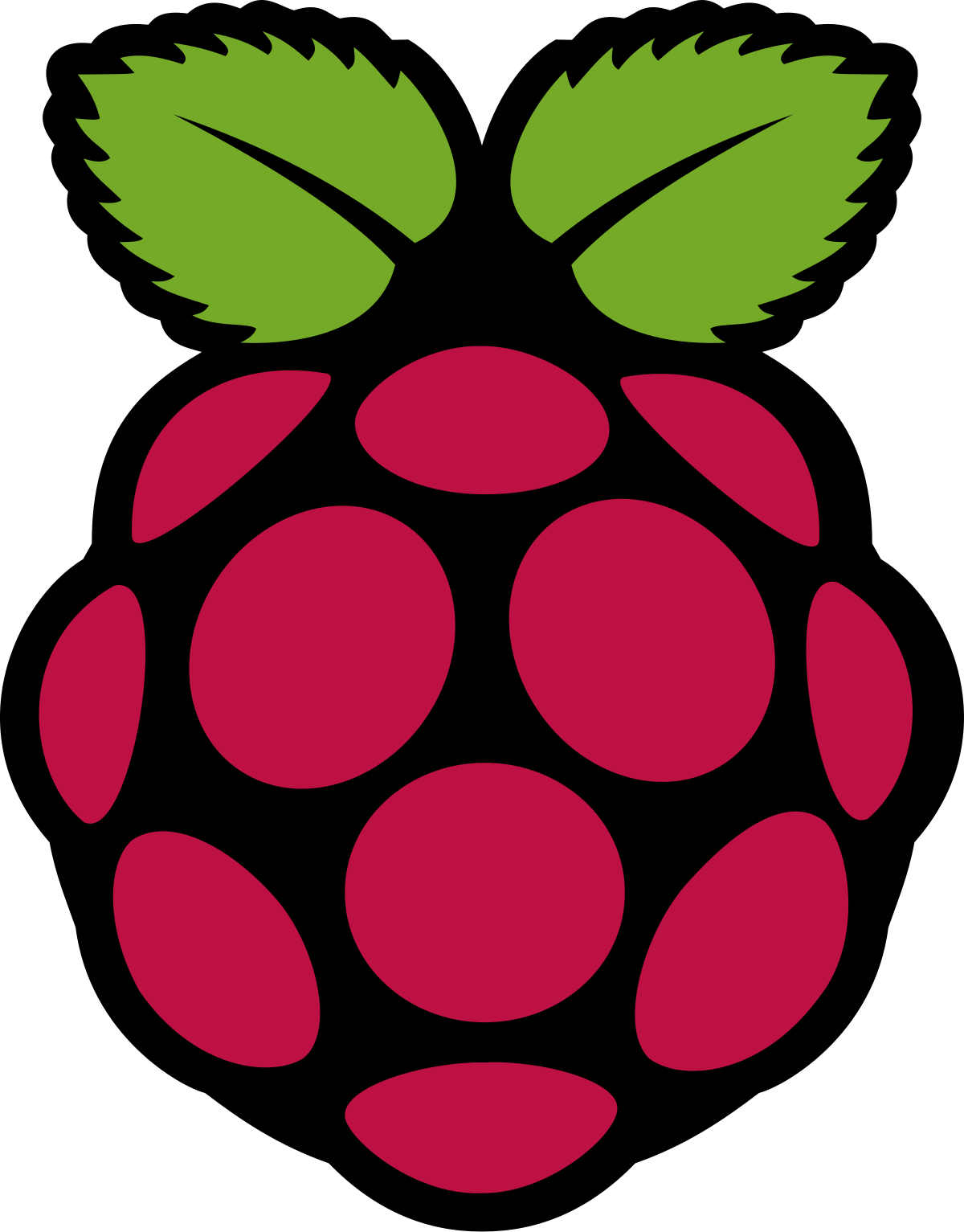 Raspberry Pi logo