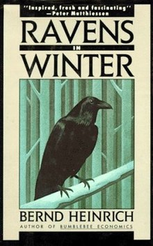 Ravens in Winter.jpg