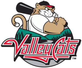 <span class="mw-page-title-main">Tri-City ValleyCats</span> Professional minor league baseball team in Troy, New York