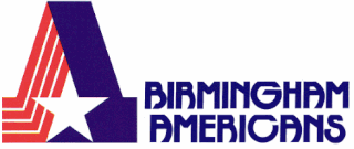 <span class="mw-page-title-main">Birmingham Americans</span> American football team