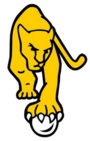 Las leonas logo 2006.png