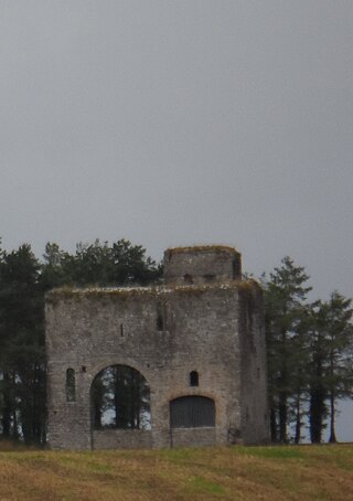 <span class="mw-page-title-main">Rathcoffey Castle</span> Castle in County Kildare, Ireland