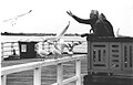 St Kilda Pavilion Feeding Seagulls.jpg