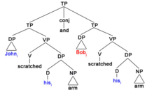 Tree for the strict reading Strict reading tree.tiff