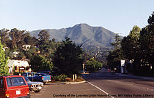 Miller Ave. hacia Mt. Tamalpais en la década de 1990.