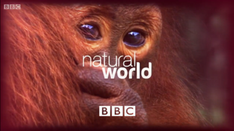 Natural World (TV series)