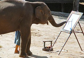 <span class="mw-page-title-main">Ruby (elephant)</span> Asian elephant