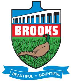 Official logo of Brooks
