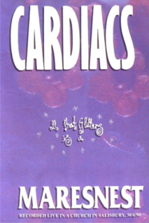 <i>All That Glitters Is a Mares Nest</i> 1992 video / Live album by Cardiacs