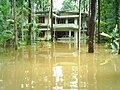 Flood in Kolmanna