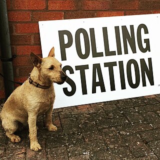 <span class="mw-page-title-main">Dogs at polling stations</span> Hashtag