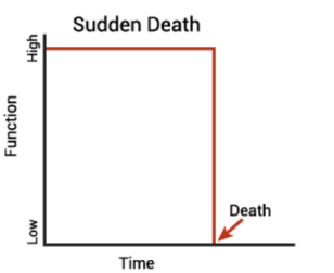 Illustration of the premature death trajectory. There is a sharp decline in human function in a short period of time. Sudden Death graph.png