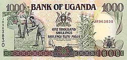 UgandanShillings1000.jpg 