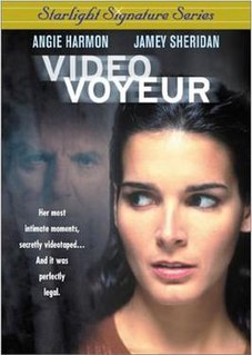 <i>Video Voyeur</i>