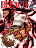 Thumbnail for File:Bleach DVD season 14 volume 1.jpg