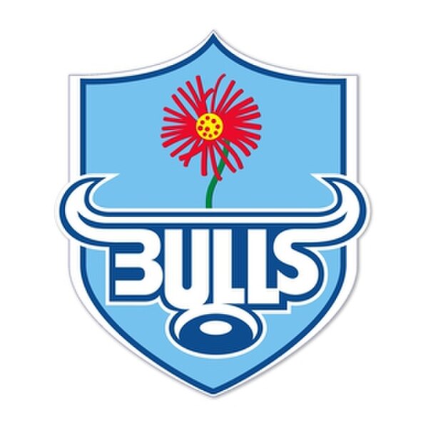 Bulls (rugby union)