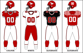 <span class="mw-page-title-main">1998 Calgary Stampeders season</span>