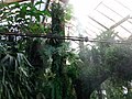 Thumbnail for File:Conservatory of Flowers Misters.jpg