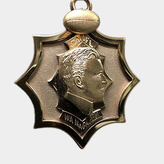 The Magarey Medal, currently produced by Evright.