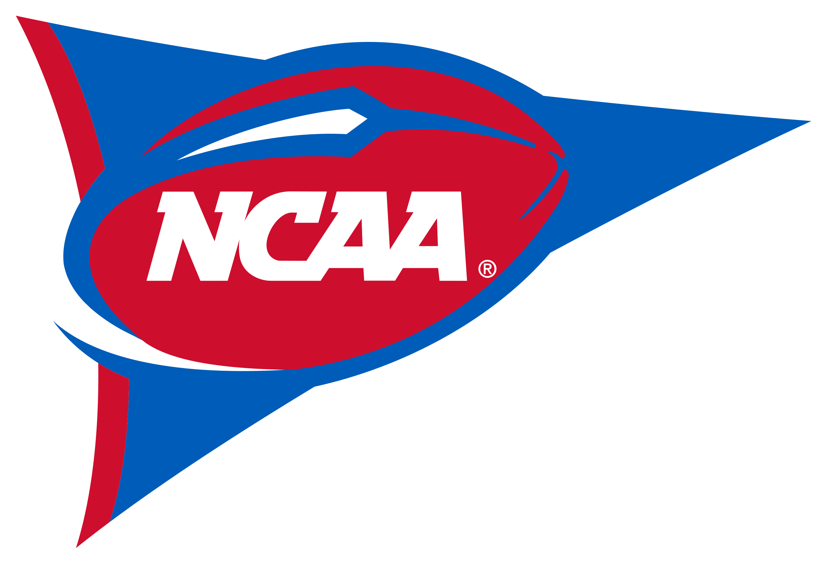 NCAA Football Logo