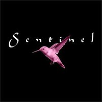 Sentinel Band Logo.jpeg