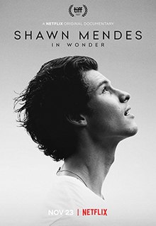 Shawn Mendes im Wunder Poster.jpg