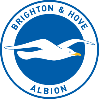 <span class="mw-page-title-main">Brighton & Hove Albion F.C.</span> Football club in England