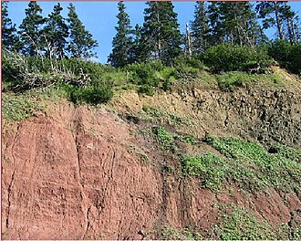 Basal contact of a lava flow section of Fundy Basin CAMP North America.JPG