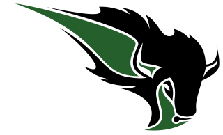 Oklahoma Baptist Bison