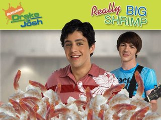 <span class="mw-page-title-main">Really Big Shrimp</span> 17th episode of the 4th season of Drake & Josh