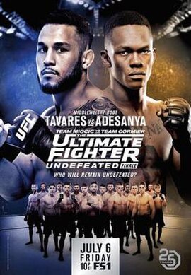 The poster for The Ultimate Fighter: Undefeated Finale