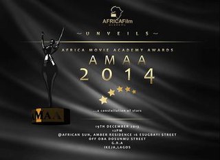 10th Africa Movie Academy Awards