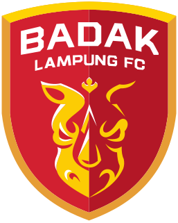 Badak Lampung F.C. Association football team in Indonesia