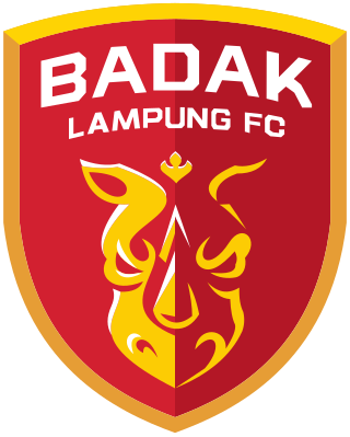 <span class="mw-page-title-main">Badak Lampung F.C.</span> Association football team in Indonesia