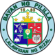 Official seal of Pililla