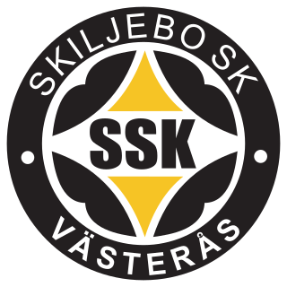 <span class="mw-page-title-main">Skiljebo SK</span> Swedish football club