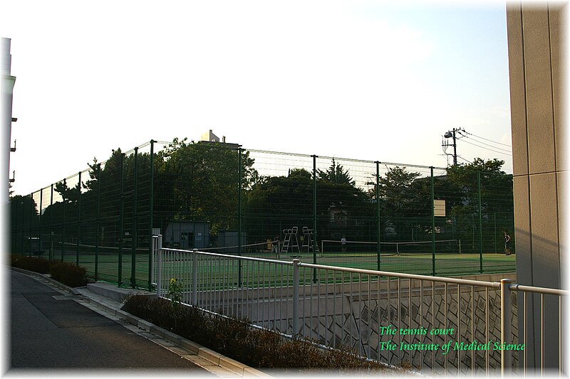 File:Tennis court白金医科研テニスコート0056.JPG
