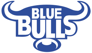 Blue Bulls South African rugby union team