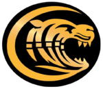 Colac fc logo.png