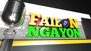 <i>Failon Ngayon</i> 2009–20 Philippine television news magazine program