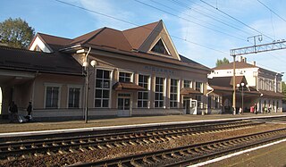 <span class="mw-page-title-main">Pidzamche railway station</span> Railway station in Lviv, Ukraine