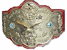 WWF Women's Tag belt.jpg