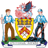 Official logo of Borough of Barnsley