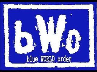 <span class="mw-page-title-main">Blue World Order</span> Professional wrestling stable