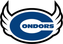 Condors CDMX logo.png
