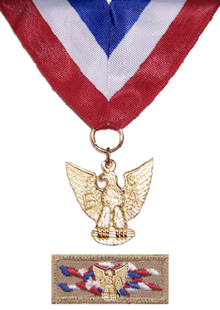 Distinguished Eagle Scout Award.png