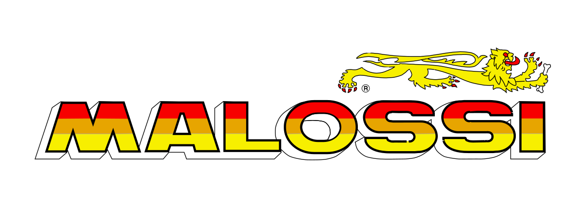Image result for malossi logo