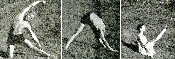 Postures in Niels Bukh's 1924 Primary Gymnastics resembling Parighasana, Parsvottanasana, and Navasana, supporting the suggestion that Krishnamacharya