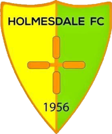 Holmesdale FC.png